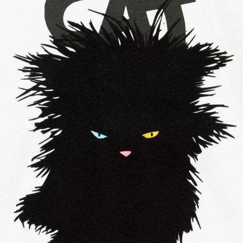Black wet cat （Limited edition collection 33 pieces） - Image 7