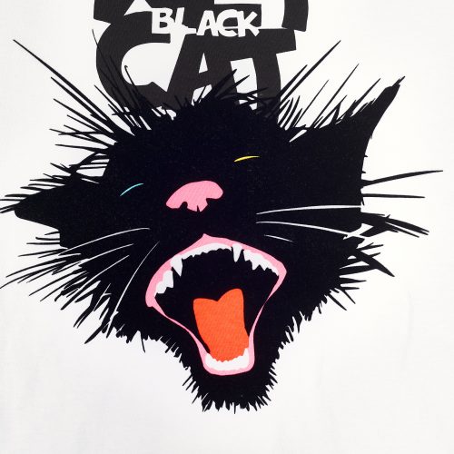 Black wet cat, Scream （Limited edition collection 37 pieces） - Image 7